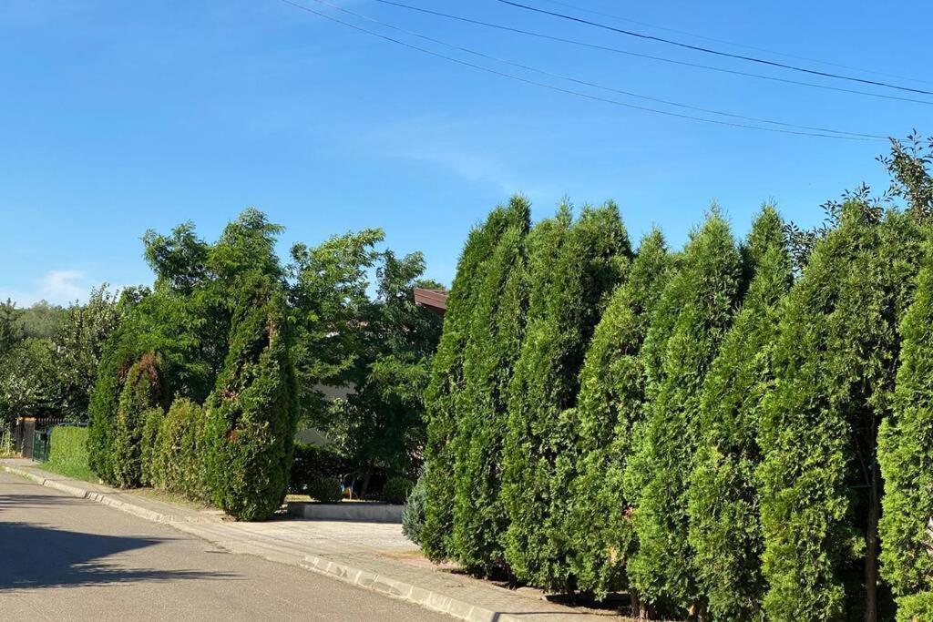 La Tuya Deluxe Villa Iasi Exterior photo